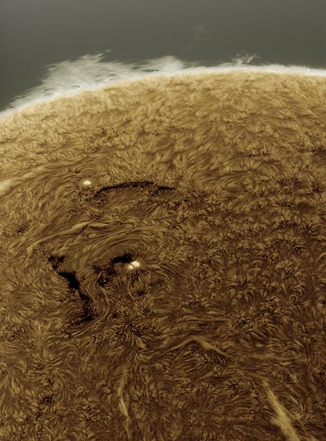 photo of part of the sun by Alan Friedman Sun Solar, Sept 1, Planets And Moons, Space Images, Space Pictures, Alien Worlds, Our Solar System, Space Science, Space And Astronomy