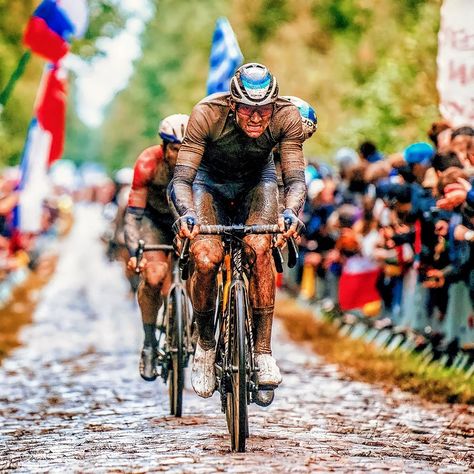 Paris Roubaix Cycling, Cycling Posters, Paris Roubaix, Pro Cycling, Gravel Bike, Road Bike, Samurai Gear, Cycling, Bicycle