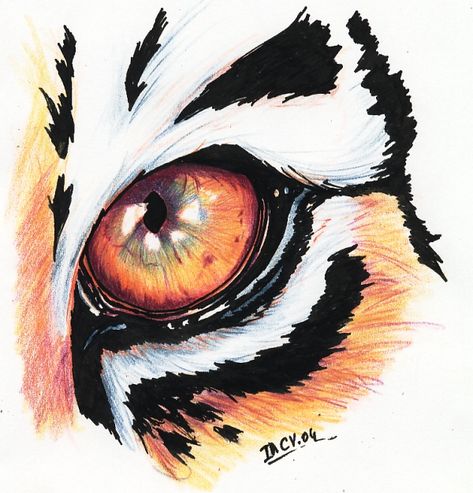 ojos de tigre Art Tigre, Art Du Croquis, Tiger Drawing, Tiger Art, Haiwan Peliharaan, Tiger Tattoo, Color Pencil Art, Eye Art, A Drawing