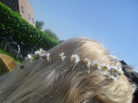 Daisy Chain : Image 3 of 3 How To Make A Daisy Chain, Making Daisy Chains, Daisy Chains Aesthetic, Daisy Crown Aesthetic, Daisy Necklace Aesthetic, Daisies Aesthetic, Flowers Clothes, Daisies In Hair Aesthetic, Make A Flower Crown