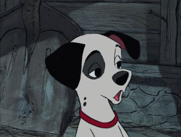 via GIPHY One Hundred And One Dalmatians, 101 Dalmatians 1961, Rod Taylor, 101 Dalmatians Cartoon, 101 Dalmations, Disney 101 Dalmatians, Images Disney, Disney Gif, Disney Dogs