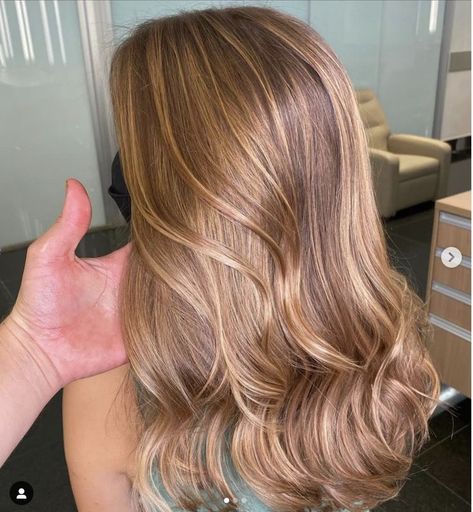 Light Amber Golden Brown Hair, Light Caramel Hair Color Honey, Auburn Balayage Caramel, Warm Honey Brown Hair Color Caramel, Light Brown Hair Color, Brown Hair Inspiration, Warm Blonde Hair, Long Hair Highlights, Brown Hair Shades