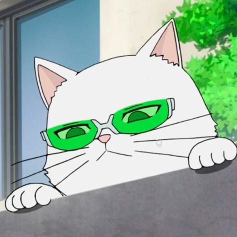 Kusuo Saiki, Saiki K, Saiki Kusuo, Studio Ghibli Art, Cat Icon, Ghibli Art, Funny Drawings, Meow Meow, Manga Characters