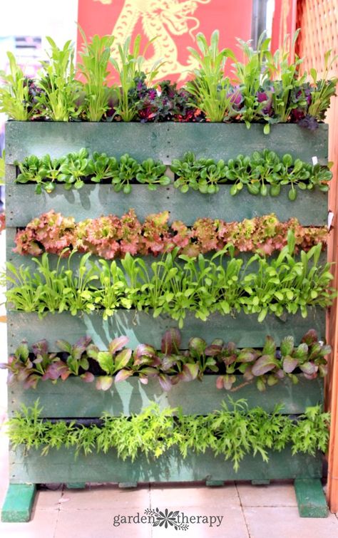 Pallet Planter Ideas, Garden Pallet Decorations, Recycled Planters, Plantarea Legumelor, Vertical Pallet Garden, Herb Garden Pallet, Vertical Vegetable Garden, Vertical Planter, Pallet Planter