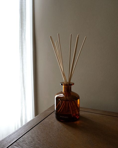 little snippets at home 📷 // in NJ this entire week we had mornings in the 50s! And while I am a summer girl at heart, I still love the coziness that comes with fall - our new pumpkin ginger @apothekeco reed diffuser really bring the optimal mix of freshness and fall into our home and this is a scent I know we will have around for the next few months 🫚🧡 You can use code ASHLEY10 to bring this scent into your home or any of the others from their collection! Reed Diffuser Aesthetic, Diffuser Aesthetic, Summer Girl, The 50s, Reed Diffuser, New Room, Our Home, Room Inspo, Summer Girls