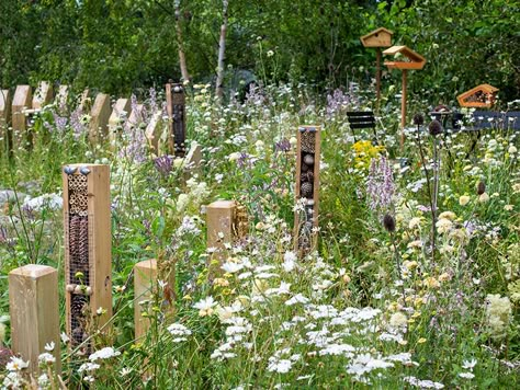 Eco Garden, Insect Hotel, Wildlife Garden, Hillside Landscaping, Sensory Garden, Bee Garden, Wildlife Gardening, Landscape Architecture Design, School Garden