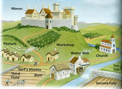 Fief- in medieval Europe, an estate granted by a lord to a vassal in exchange for service and loyalty Organization Of Life, Middle Ages History, Feudal System, 6th Grade Social Studies, Medieval Ages, Homeschool History, Classical Conversations, History Class, Teaching History