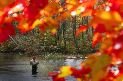 HERMOSA Fall Scenes, Camping 101, Salt Water Fishing, To Autumn, Scene Image, Autumn Scenes, Closer To Nature, Camping With Kids, Camping Experience