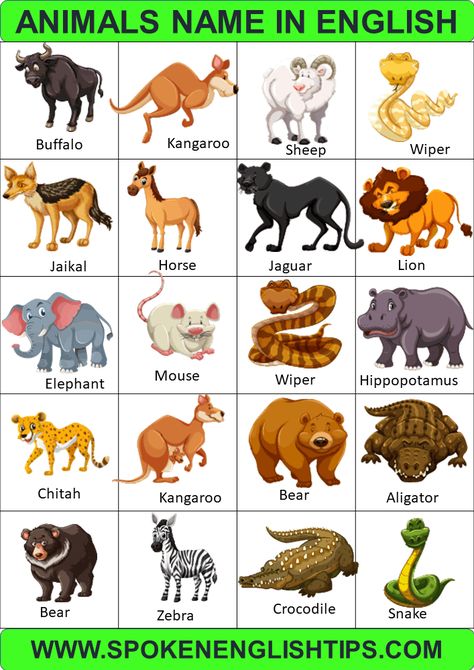 Animals Name in English | Types of Animals with pictures, List of Animals Types Of Animals Chart, Land Animals Chart, Land Animals Pictures, Animals Name With Picture, Animals Chart, Animal Chart, English Animals, Animals Name In English, Animals Name