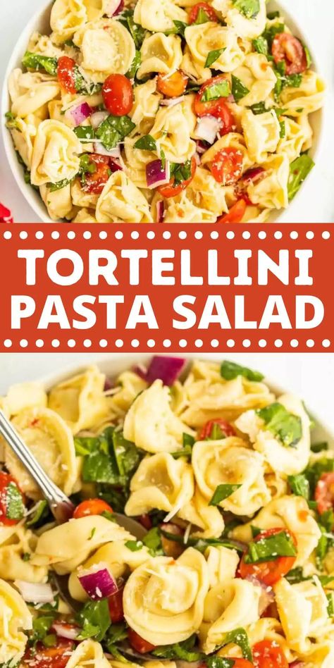 Easy Tortellini Pasta Salad, Tortellini Pasta Salad Recipes, Easy Tortellini, Tortellini Pasta Salad, Vegetables Pasta, Pesto Tortellini, Pasta Salad With Tortellini, Tortellini Recipes, Tortellini Pasta