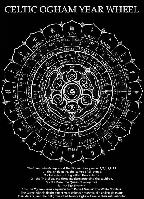 Celtic Ogham Year Wheel, Year Wheel, Celtic Ogham, Ogham Alphabet, Celtic Heritage, Wheel Of The Year, Celtic Mythology, Pagan Witch, The Zodiac Signs