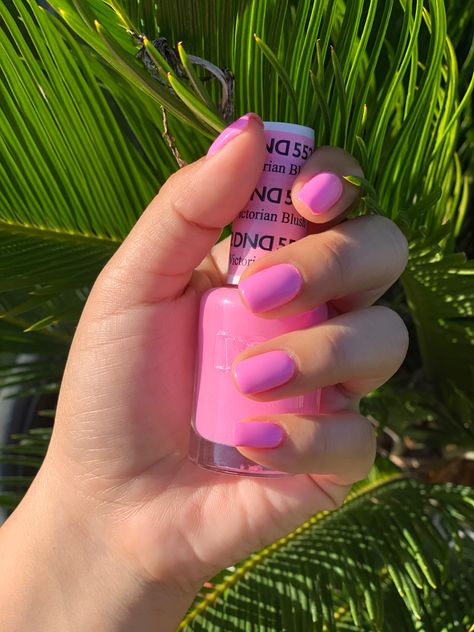 Dnd Cotton Candy Nails, Dnd Magenta Nails, Dnd Victorian Blush, Dnd Dip Powder Colors Pink, Pink Nails Dnd Gel, Summer Dnd Nail Colors, Dnd Light Pink Gel Polish, Pink Dnd Gel Polish, Dnd Pink Nails