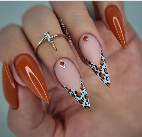 Animal Print Tip Nails, Simple Stiletto Nail Designs, Orange Animal Print Nails, Sassy Nails, Diva Nails, Leopard Print Nails, Fancy Nails Designs, Her Nails, Print Nails