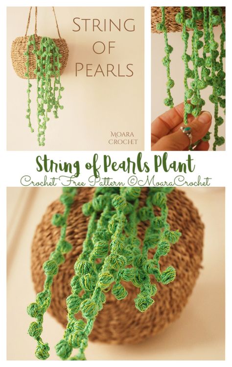 String of Pearls Plant Crochet Free Pattern Plant Crochet, String Of Pearls Plant, Crochet Succulent, Crochet Plant Hanger, Crochet Plant, Crochet Leaves, Crochet Home Decor, String Of Pearls, Plant Pattern