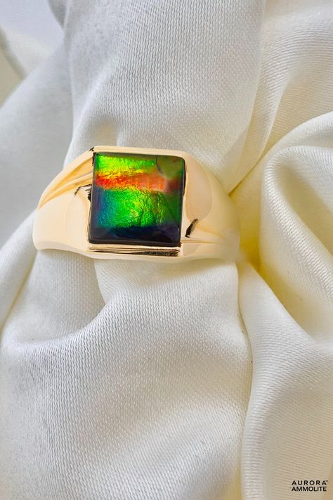 Ammolite means more than just a beautiful stone. It represents the beauty of something rare in the world of gems and as such, has become a treasured gift. Ammolite Ring, Ammolite Jewelry, 14k Gold Ring, Gold Collection, Gold Ring, The Beauty, Aurora, Gold Rings, How To Become