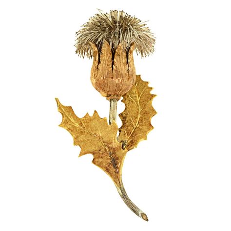 Buccellati Gold Thistle Brooch - Hand fabricated in 18k yellow, white, and rose gold, this thistle pin from Buccellati is one of their most enduring designs. This size is particularly wearable. The quality and meticulous attention to detail is a pleasure.  SIZE: 2 inches long WEIGHT: 11.9 grams Buccellati Jewelry, Fine Art Jewelry, Vintage Jewels, 925 Silver Jewelry, Art Deco Jewelry, Antique Jewellery, Vintage Diamond, Flower Jewellery, Art Jewelry