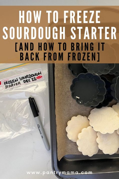 Can you freeze sourdough starter? Find out how to freeze and reactivate sourdough starter quickly and easily for long term storage. How To Revive Frozen Sourdough Starter, Frozen Sourdough Starter, Freeze Dry Sourdough Starter, How To Freeze Sourdough Starter, Freeze Dried Sourdough Starter, Freezing Sourdough Starter, Freezer Friendly Sourdough Recipes, How To Rehydrate Sourdough Starter, Dehydrating Sourdough Starter