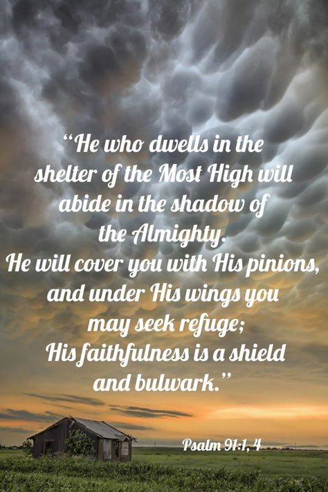 Psalm 91 1, Shadow Of The Almighty, Under His Wings, Psalm 91, It Is Written, Most High, Bible Scriptures, Bible Quotes, Psalms