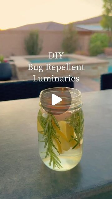 Tanya Griffin Hobbit Hoggit on Instagram: "LOVE THIS! 🕯️ #Repost @inspiredlifeandhome #follow her Keep the bugs away this patio season with these natural luminaries.  If you are hosting outdoors these are the perfect way to keep bugs away and also look so pretty at the same time.  I used limes, lemons, and fresh rosemary. The compound D-limonene is found in citrus fruits like lemons and limes, and it is an effective insect repellent. Rosemary is another natural fly and mosquito repellent. It has a pungent scent that drives away bugs of all sorts. When you light the votive candles, it helps diffuse the oils, zest, and herbs. This combination might smell heavenly to us, but it is quite the opposite to bugs.  Comment “bugs” and I can send you a link for everything I used.   #naturalbugrepell Diy Bug Repellent, Backyard Accessories, Lemons And Limes, Lemon Candle, Garden Hacks, Healthy Herbs, Fruit Flies, Bug Repellent, Preventative Health