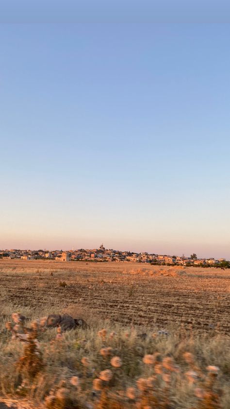 Syria Landscape, Homs Syria, Syria Country, Flowers Sunset, Inheritance Cycle, Night Video, Field Flowers, Country Side, Mesopotamia