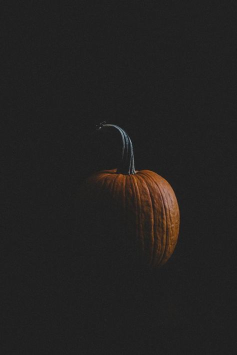 Moody Pumpkins, Pumpkin Photography, Moody Food Photography, Dark Food Photography, Pumpkin Photos, Fall Mood, Moody Photography, Food Photography Inspiration, Food Photography Tips