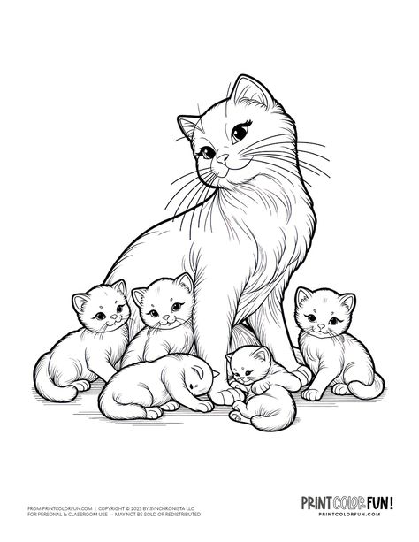 Mama cat with kittens coloring page clipart from PrintColorFun com (3) Mom Cat And Kitten Drawing, Mother Cat And Kittens Drawing, Cat With Kittens Drawing, Cute Kittens Drawing, Kittens Coloring Pages, Cute Kitten Coloring Pages, Cat Coloring Pages Free Printable, Coloring Pages Cat, Kitten Coloring Pages