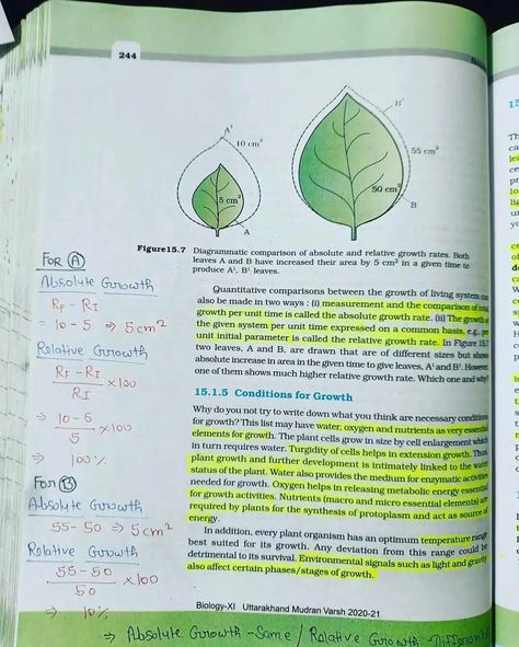 Organism And Population Notes, Botany Notes, Physiology Study, Bio Notes, Neet Notes, Random Notes, Human Physiology, Organization Notes, Positive Quotes Wallpaper