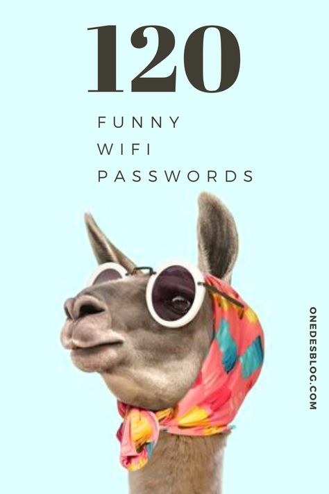 120+ Clever Funny Wifi Passwords & Wifi Names - Onedesblog Password Names Ideas, Creative Password Ideas Funny, Best Wifi Passwords, Funny Wifi Names And Passwords, Fun Wifi Names, Wifi Password Ideas Funny, Funny Passwords Ideas, Cute Passwords Ideas For Phone, Wifi Names Creative