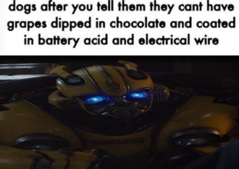 tags: #bumblebee #transformers #funni Bumblebee Transformers Memes, Bumblebee Transformers Funny, Transformers Pfp Bumblebee, Transformers Memes Hilarious, Transformers Memes Funny, G1 Bumblebee, Bumble Bee Transformer, Transformers Prime Bumblebee, Bumblebee Movie