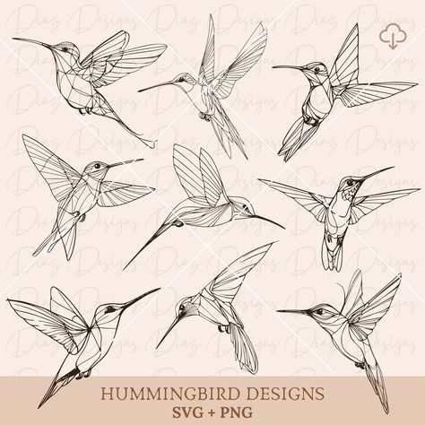 Hummingbird Graphic Design, Hummingbird Outline, Hummingbird Coloring Pages, Hummingbird Designs, Hummingbird Vector, Hummingbird Sketch, Origami Hummingbird, Hummingbird Clipart, Hummingbird Svg