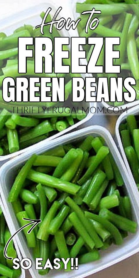 Freezing Vegetables, Blanching Green Beans, Canning Vegetables, Steamed Green Beans, Freeze Greens, Vegetable Side Dishes Recipes, Frozen Green Beans, Fresh Green Beans, Green Bean Recipes