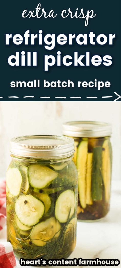 Small Batch Fridge Pickles, Oven Dried Strawberries, Making Dill Pickles, Refrigerator Pickles Dill, Cold Side Dishes, Preserving Vegetables, Pickle Chips, Brine Recipe, Refrigerator Pickles