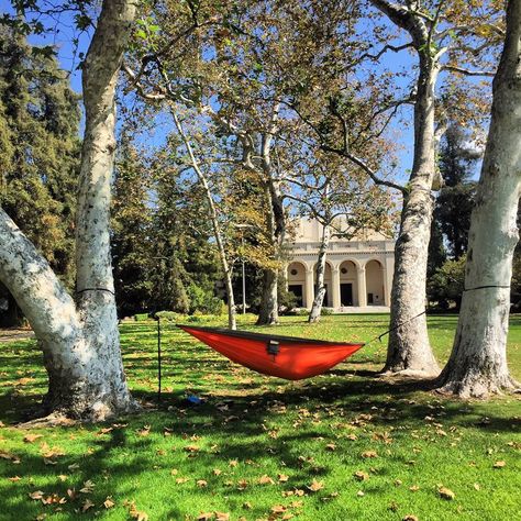 Marston Quad at Pomona College in Claremont, Ca is a great place to take a load off.     📷: Sean Gunther Pomona College Aesthetic, Claremont Colleges, Claremont California, Pomona College, California Life, Liberal Arts College, College Aesthetic, Dream College, Dorm Life