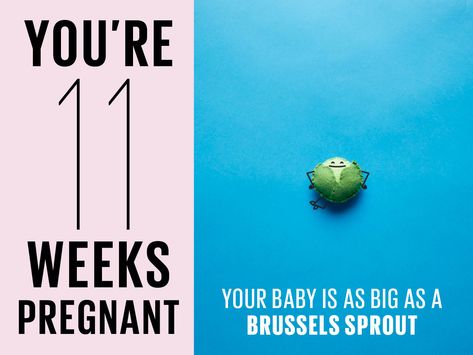 In week 11 your baby has become quite an active little guy, kicking and swallowing away inside your womb. 11 Weeks Pregnant Symptoms, Pregnant Symptoms, 11 Weeks Pregnant, March Baby, All About Pregnancy, Pregnancy Journal, Weeks Pregnant, Pregnancy Journey, Pregnancy Symptoms