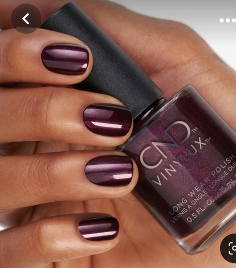 Merlot Color Nails, Dip Manicure Ideas Winter, Edgy Nail Designs Simple, Plum Nails Acrylic, Eggplant Nail Color, Nail Ideas Dark Colors, Gel Nail Colors For Winter, Cabernet Nails, Business Nails Professional