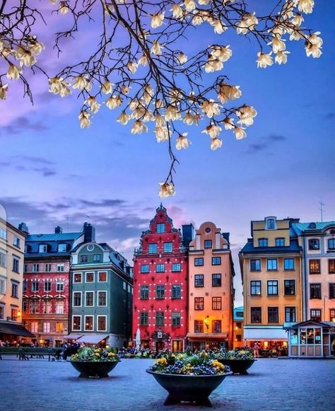 Sweden Cities, Sweden Aesthetic, Visit Stockholm, Sweden Travel, Scandinavian Countries, Tromso, Malmo, Stockholm Sweden, City Aesthetic