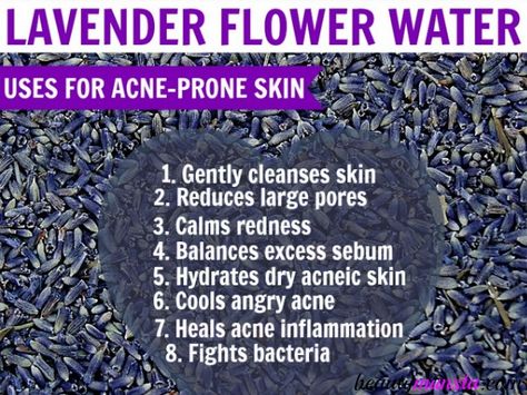 In this post, find out the benefits of lavender hydrosol for acne, its properties & 4 DIY recipes to use! Lavender hydrosol is a floral water got through steam distillation of the fragrant lavender flowers. Though not as popular as its essential oil, lavender hydrosol is also an all-purpose beauty ingredient. From refreshing tired skin … Lavender Water Benefits, Herbs Remedies, Lavender Hydrosol, Benefits Of Lavender, Waterproof Mascara Remover, Lavender Benefits, Lavender Water, Cleanser For Oily Skin, Acne Face Mask