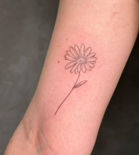 Fine line daisy tattoo by Olive Branch Tattoo, Cheltenham Daisy Tattoo Fine Line, Line Daisy Tattoo, Fine Line Daisy, Fine Line Daisy Tattoo, Daisy Tattoos, Tattoo Fine Line, Olive Branch Tattoo, Branch Tattoo, Daisy Tattoo