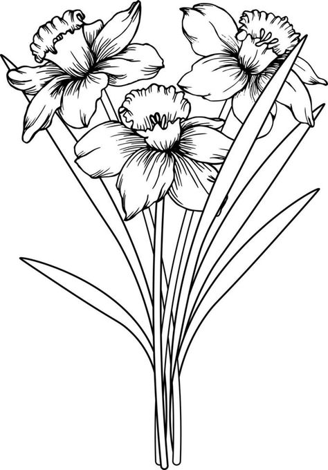 Dafodill Flowers Drawing, Bouquet Of Daffodils, Daffodil Images, Posters Decor, Daffodil Tattoo, Outline Images, Flower Line Drawings, Flower Outline, Engraved Flower