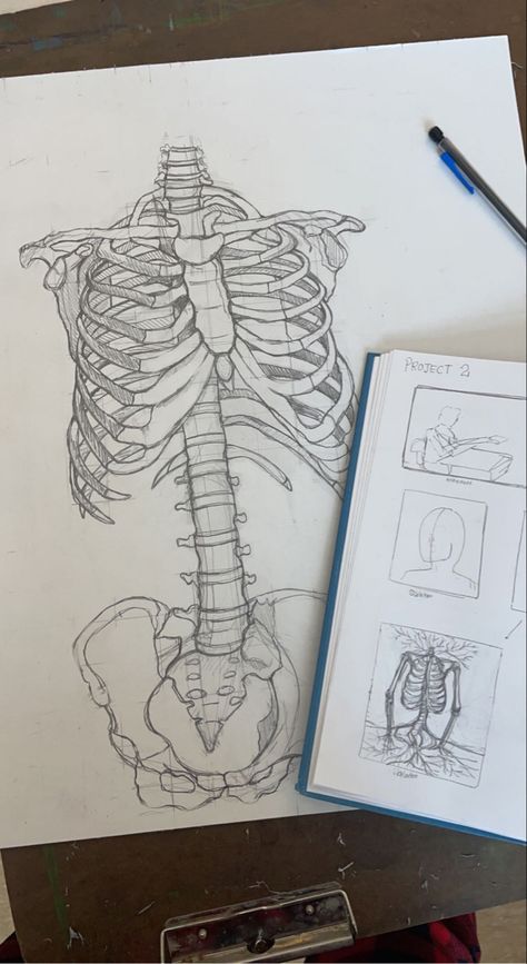 Skeleton art sketch ideas draw Med School Drawings, Drawing Ideas Medicine, Medical Drawings Sketches Art, Medicine Drawing Art, Medical Drawings Anatomy, Medicine Drawing Ideas, Medical Drawings Sketches, Med Drawing, Motivational Sketches