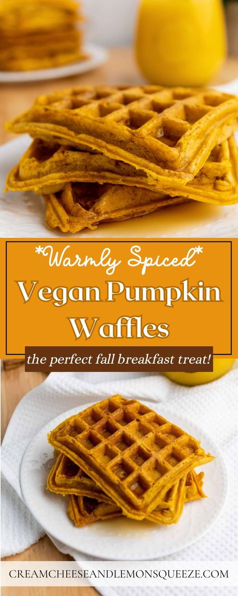 Easy Vegan Pumpkin Waffles are not just a vegan breakfast everyone will love; they are a celebration of all things fall! Enjoy the perfect blend of pumpkin, spices, and fluffy goodness. A delightful vegan breakfast or brunch option when you need a plant-based treat! Low Carb Vegan Breakfast, Pumpkin Waffles Recipe, Pumpkin Spice Waffles, Pumpkin Spice Creamer, Chai Spices, Vegan Waffles, Walnut Butter, Vegan Pumpkin Spice, Pumpkin Waffles