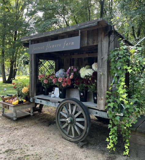 Tomatoes And Cucumbers, Farmers Market Stand, Farmers Market Display, Vegetable Stand, Cut Flower Farm, Market Stands, Homestead Farm, Flower Truck, Garden Stand