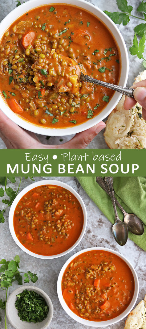 Mung Bean Soup Mung Bean Soup, Healthy Soups, Tomato Broth, Instant Pot Soup Recipes, Easy Soup, Soup Recipes Slow Cooker, Vegetarian Meal, Veggie Soup, Mung Bean