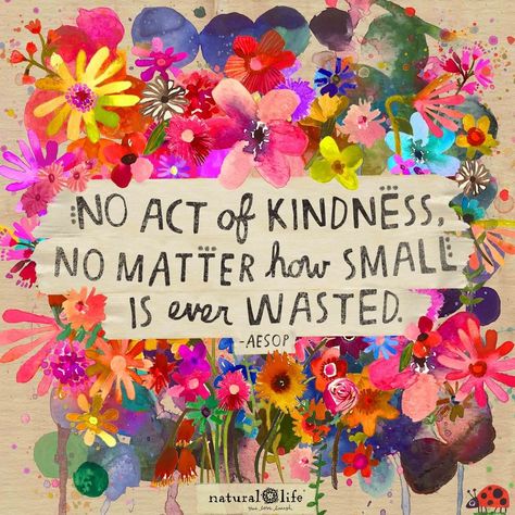 Natural Life on Instagram: “Choose being kind over being right, and you’ll be right every time! 💕 Perform a random act of kindness today & share it with us!…” Colourful Quotes, Natural Life Quotes, Monday Mantra, Life Proverbs, Bohemian Mama, Inspirational Life Lessons, Random Act, Act Of Kindness, Happy Notes