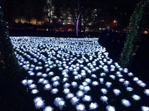 Royal Garden Aesthetic Dark, Dark Castle Garden Aesthetic, The Dark Hedges Ireland, Castle Garden Night, Princess Street Gardens Edinburgh, London Baby, Christmas Shoot, Car Wall Art, Flower Lights