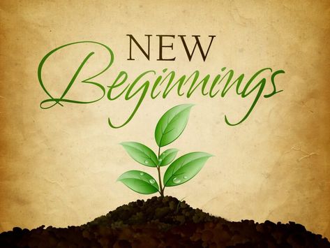 We're sharing a special poem about new beginnings on today's #MSConversations blog post. A New Beginning Wallpaper, New Beginning Wallpaper, Happy New Year Sms, New Job Quotes, The Fool Tarot Card, Thought Police, Fool Tarot Card, Nails New Year, The Fool Tarot