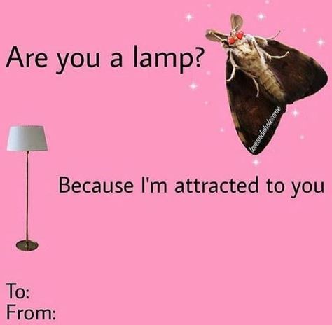 Meme Valentines Cards, Bad Valentines Cards, Bad Valentines, Cheesy Valentine, Valentines Memes, Valentines Day Memes, Funny Valentines Cards, Cute Love Memes, My Funny Valentine