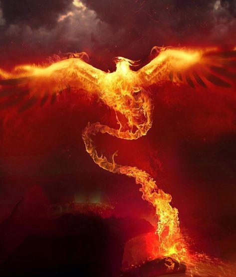 Phoenix Wallpaper, Phoenix Images, Fire Painting, Concept Art World, Flame Art, Phoenix Art, Phoenix Bird, Fire Bird, Photo D Art