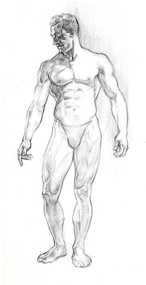 Character Male, Male Figure Drawing, Male Anatomy, Man Anatomy, Character Design Cartoon, Illustration Fantasy, Human Anatomy Drawing, Human Figure Drawing, Human Anatomy Art