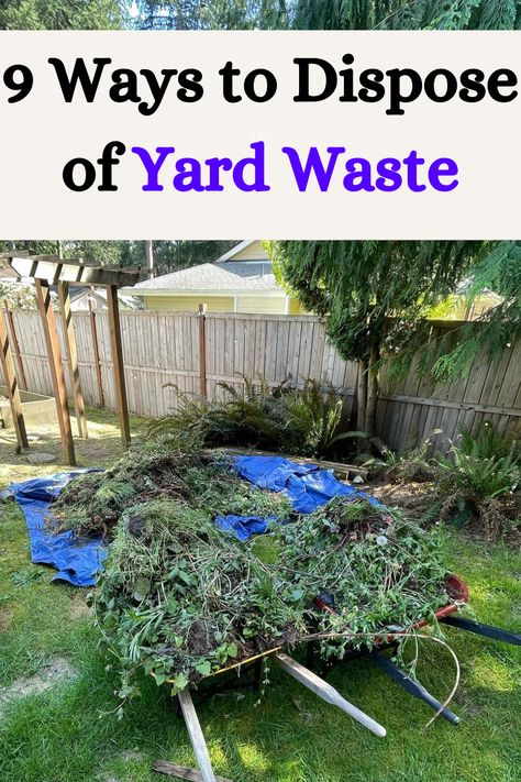 Ways to Dispose of Yard Waste Yard Waste Ideas, Lawn Problems, Lawn Leveling, Lawn Care Schedule, Lawn Pests, Backyard Activities, Weeds In Lawn, Diy Lawn, Lawn Care Tips